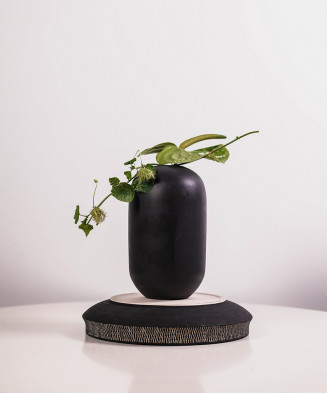 Decorative Aluminum Plant