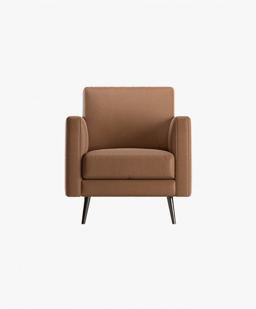 Living Room Armchair